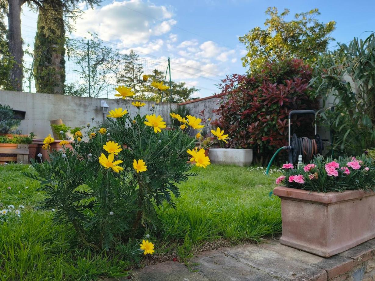 Appartamento La Giravolta Loft Urban & Gea Montelupo Fiorentino Esterno foto